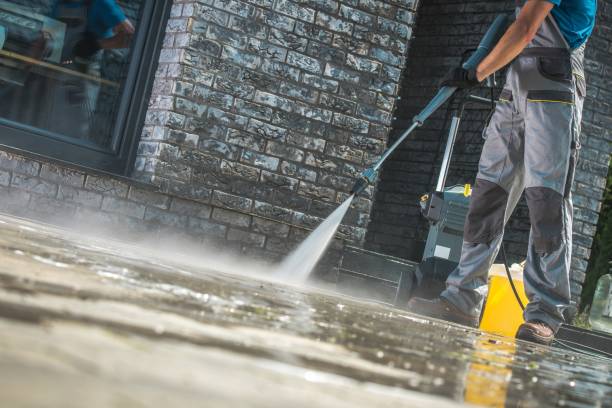 Best Graffiti Removal  in Stedman, NC
